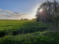 /album/winter-in-wervershoof-2020-21/nunspeet-05-jpg/